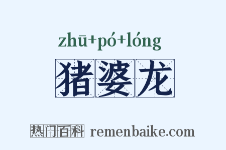 猪婆龙是什么意思的图片